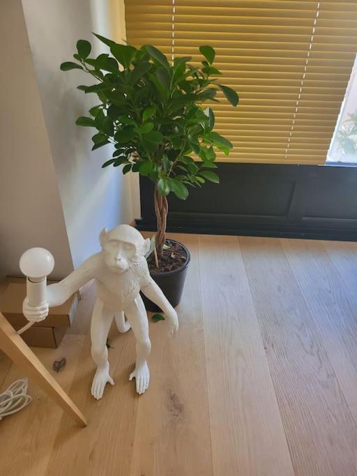 Appartement Luxe "La Providence" , Plein Centre Vichy Exteriör bild